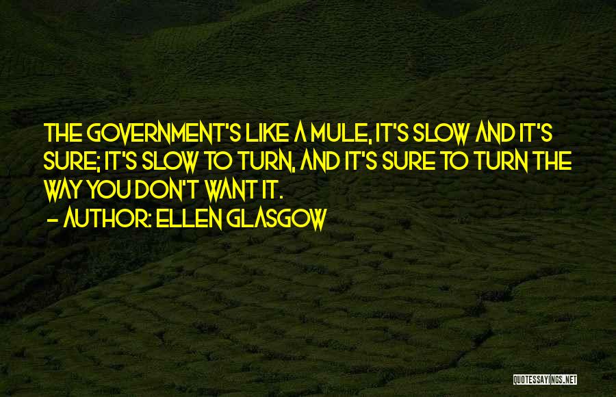 Ellen Glasgow Quotes: The Government's Like A Mule, It's Slow And It's Sure; It's Slow To Turn, And It's Sure To Turn The