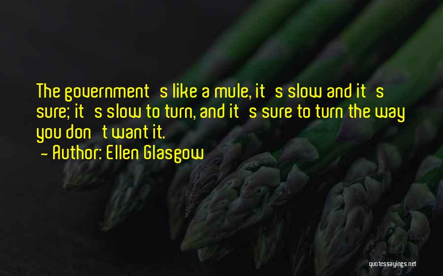 Ellen Glasgow Quotes: The Government's Like A Mule, It's Slow And It's Sure; It's Slow To Turn, And It's Sure To Turn The