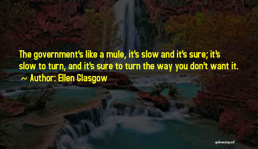 Ellen Glasgow Quotes: The Government's Like A Mule, It's Slow And It's Sure; It's Slow To Turn, And It's Sure To Turn The