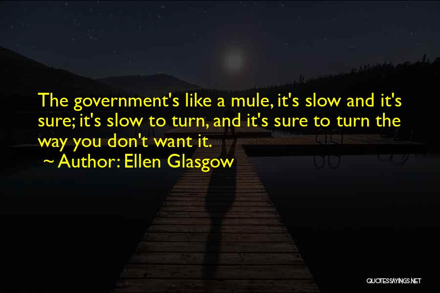 Ellen Glasgow Quotes: The Government's Like A Mule, It's Slow And It's Sure; It's Slow To Turn, And It's Sure To Turn The