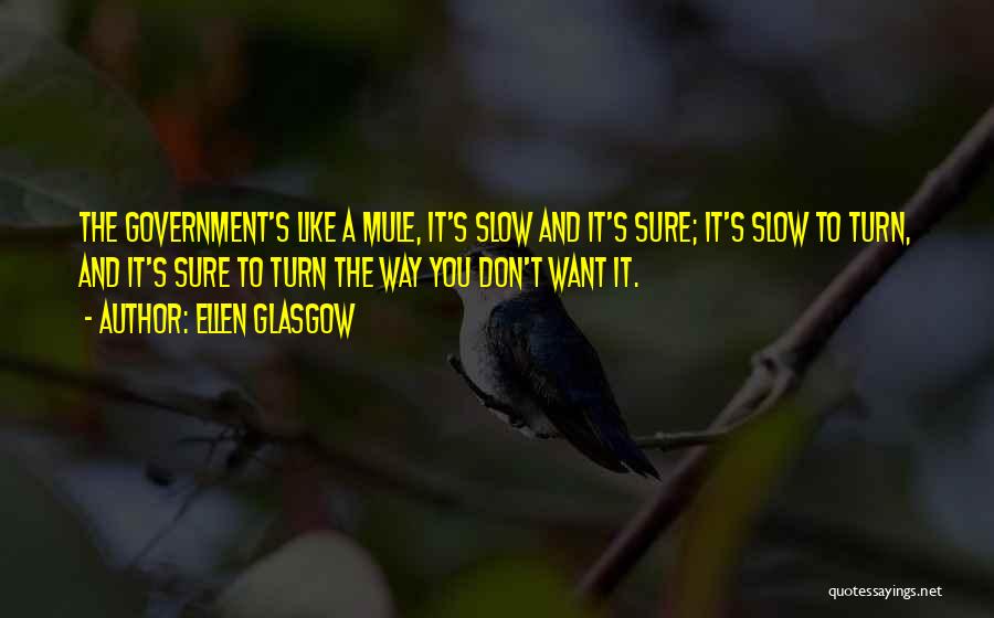 Ellen Glasgow Quotes: The Government's Like A Mule, It's Slow And It's Sure; It's Slow To Turn, And It's Sure To Turn The