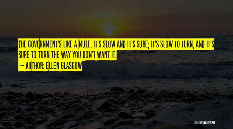 Ellen Glasgow Quotes: The Government's Like A Mule, It's Slow And It's Sure; It's Slow To Turn, And It's Sure To Turn The