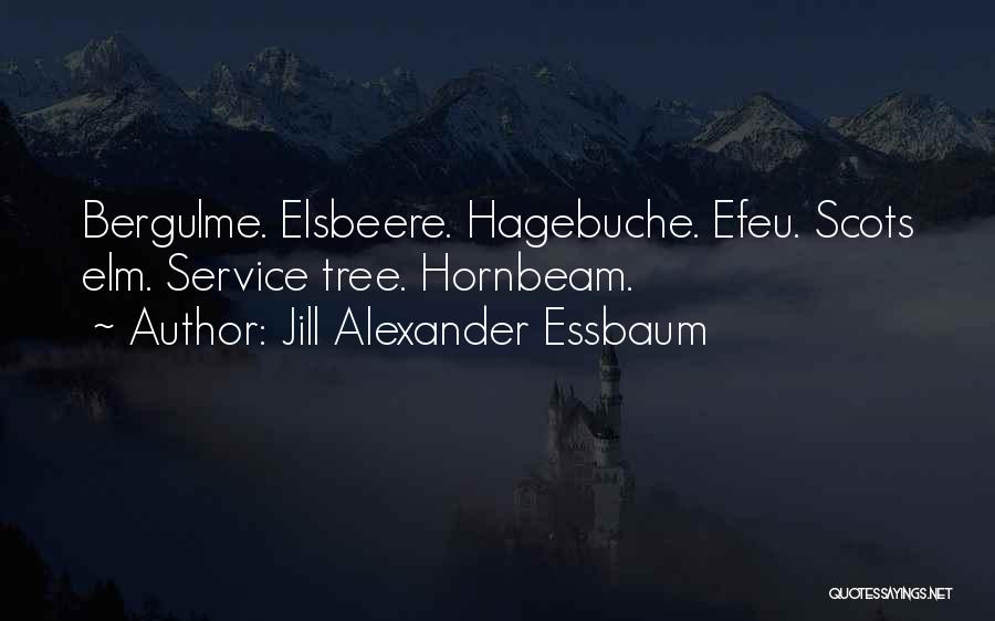 Jill Alexander Essbaum Quotes: Bergulme. Elsbeere. Hagebuche. Efeu. Scots Elm. Service Tree. Hornbeam.