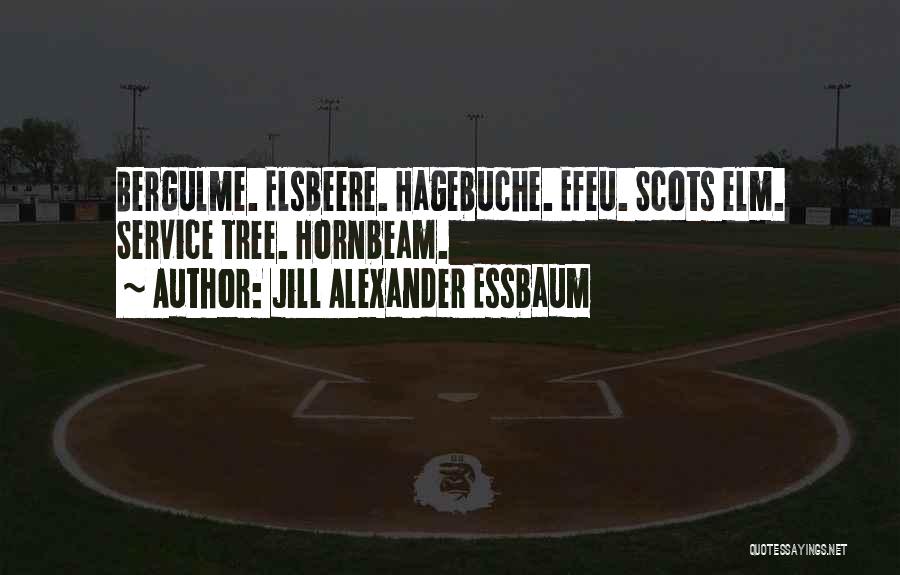 Jill Alexander Essbaum Quotes: Bergulme. Elsbeere. Hagebuche. Efeu. Scots Elm. Service Tree. Hornbeam.