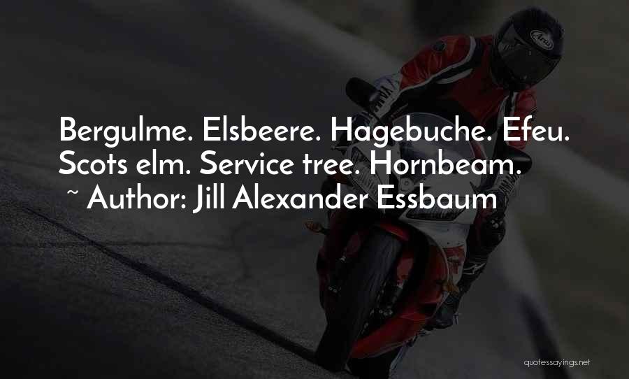 Jill Alexander Essbaum Quotes: Bergulme. Elsbeere. Hagebuche. Efeu. Scots Elm. Service Tree. Hornbeam.