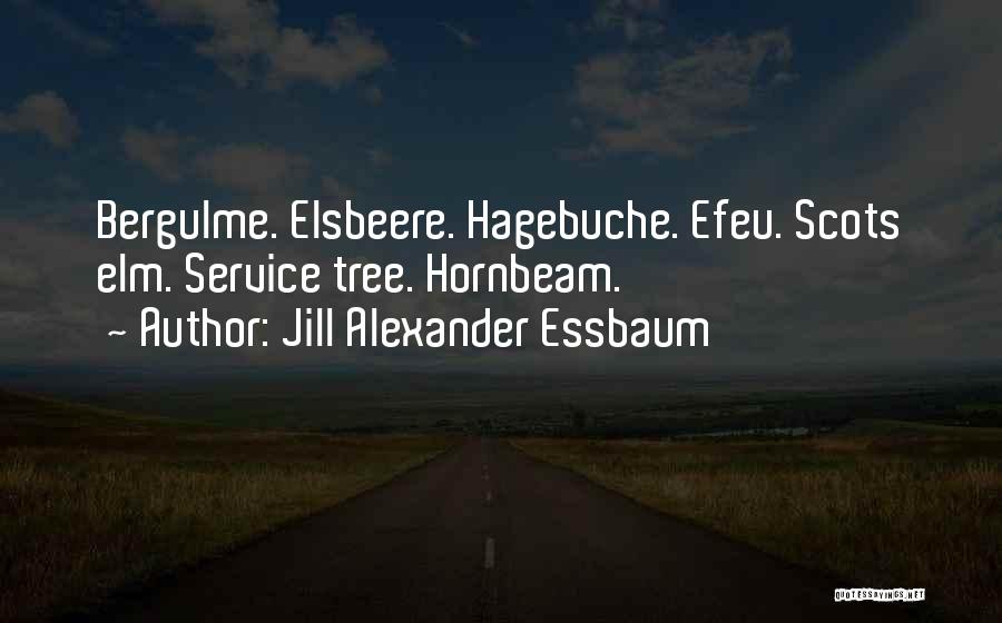 Jill Alexander Essbaum Quotes: Bergulme. Elsbeere. Hagebuche. Efeu. Scots Elm. Service Tree. Hornbeam.