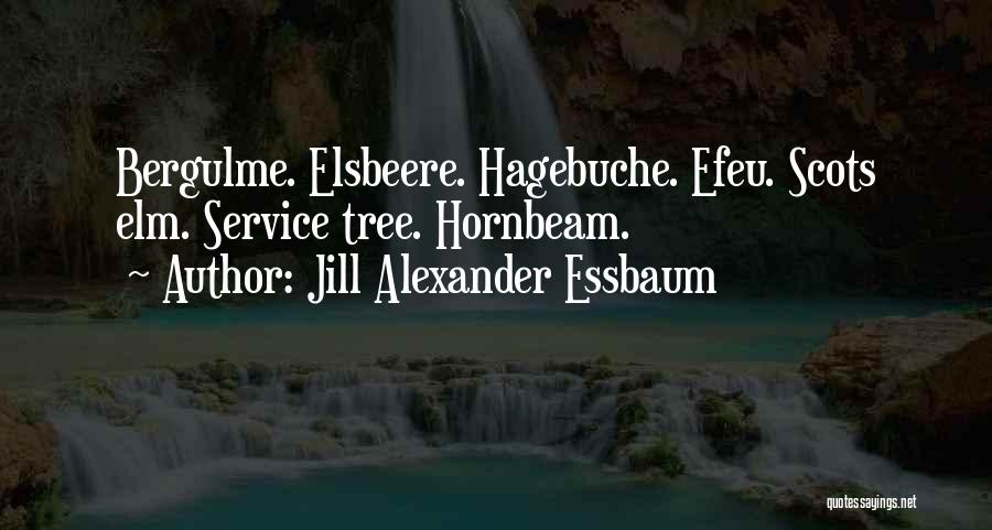 Jill Alexander Essbaum Quotes: Bergulme. Elsbeere. Hagebuche. Efeu. Scots Elm. Service Tree. Hornbeam.