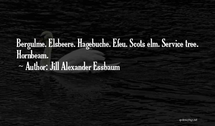 Jill Alexander Essbaum Quotes: Bergulme. Elsbeere. Hagebuche. Efeu. Scots Elm. Service Tree. Hornbeam.