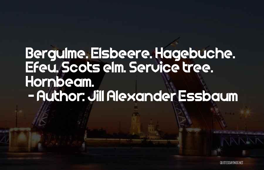 Jill Alexander Essbaum Quotes: Bergulme. Elsbeere. Hagebuche. Efeu. Scots Elm. Service Tree. Hornbeam.