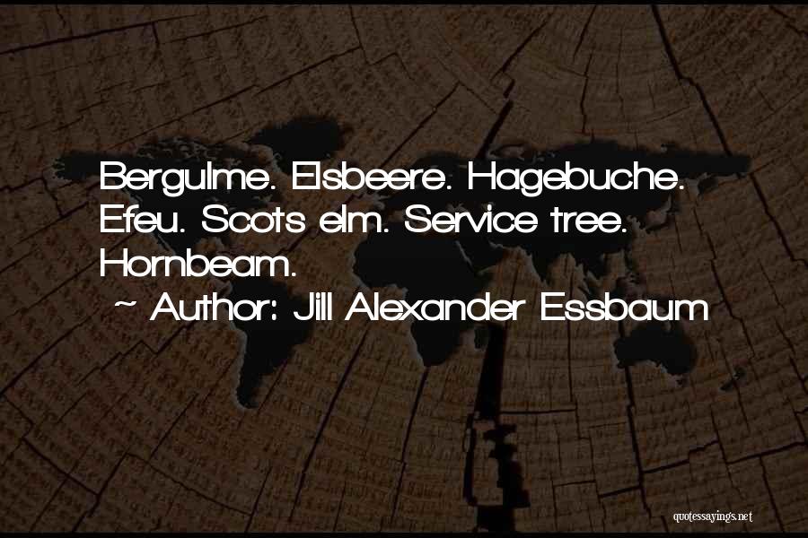 Jill Alexander Essbaum Quotes: Bergulme. Elsbeere. Hagebuche. Efeu. Scots Elm. Service Tree. Hornbeam.