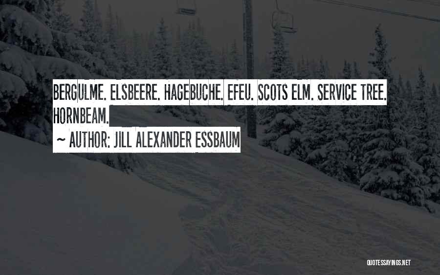 Jill Alexander Essbaum Quotes: Bergulme. Elsbeere. Hagebuche. Efeu. Scots Elm. Service Tree. Hornbeam.