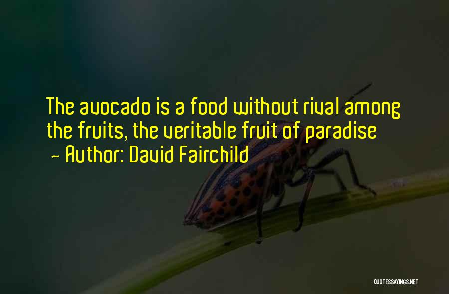 David Fairchild Quotes: The Avocado Is A Food Without Rival Among The Fruits, The Veritable Fruit Of Paradise