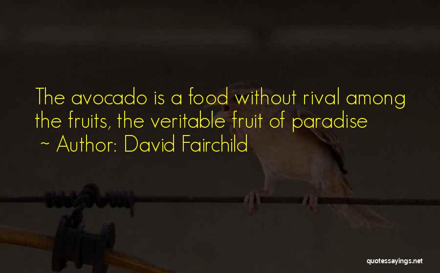 David Fairchild Quotes: The Avocado Is A Food Without Rival Among The Fruits, The Veritable Fruit Of Paradise