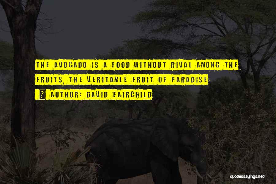 David Fairchild Quotes: The Avocado Is A Food Without Rival Among The Fruits, The Veritable Fruit Of Paradise