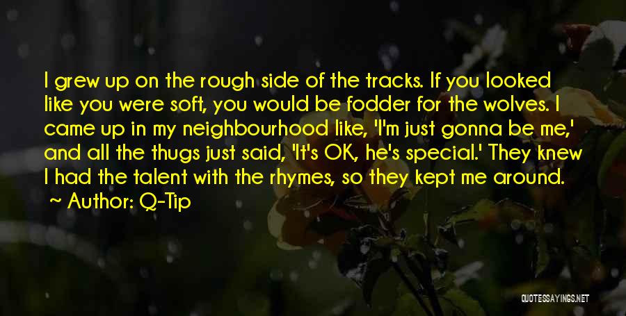 Q-Tip Quotes: I Grew Up On The Rough Side Of The Tracks. If You Looked Like You Were Soft, You Would Be