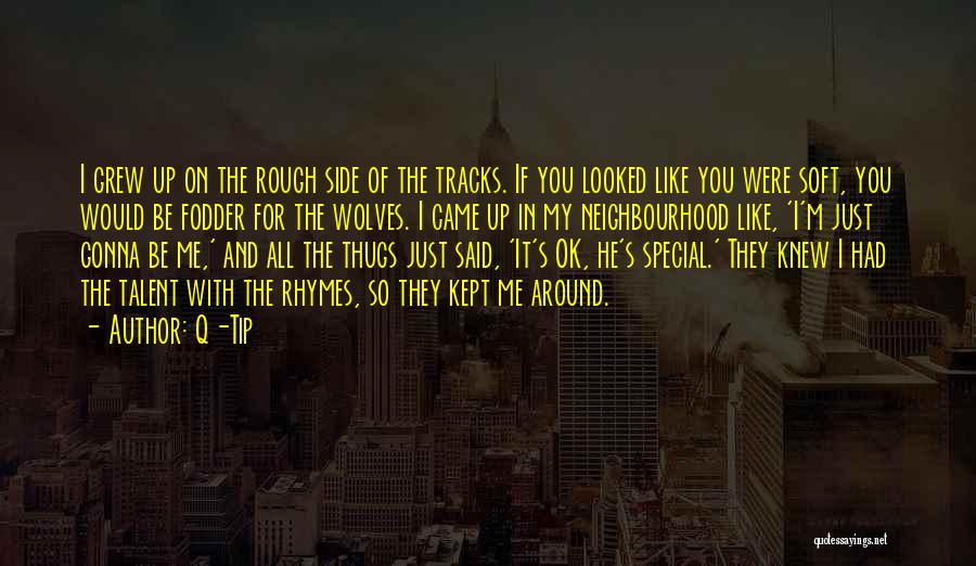 Q-Tip Quotes: I Grew Up On The Rough Side Of The Tracks. If You Looked Like You Were Soft, You Would Be