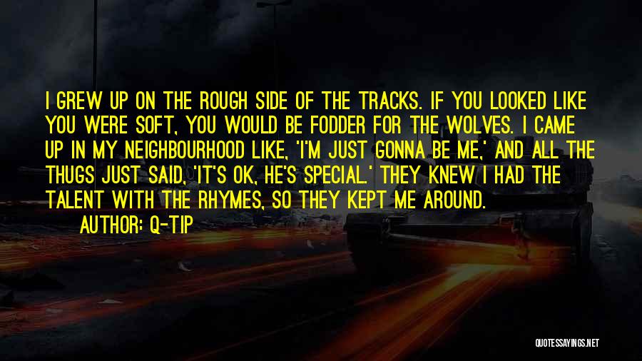 Q-Tip Quotes: I Grew Up On The Rough Side Of The Tracks. If You Looked Like You Were Soft, You Would Be