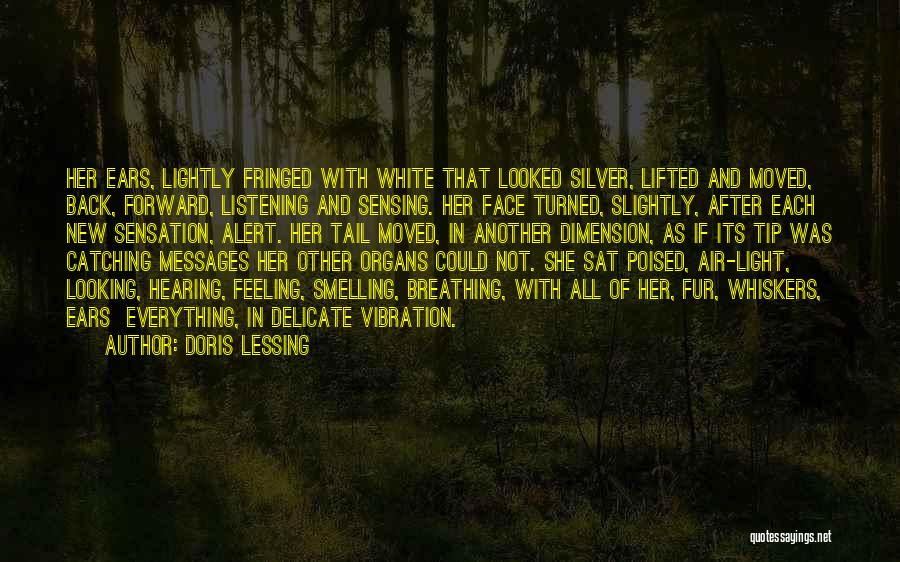 Doris Lessing Quotes: Her Ears, Lightly Fringed With White That Looked Silver, Lifted And Moved, Back, Forward, Listening And Sensing. Her Face Turned,