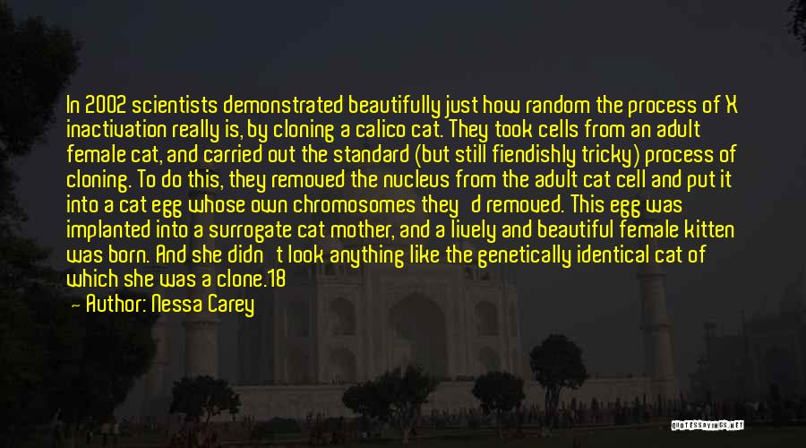 Nessa Carey Quotes: In 2002 Scientists Demonstrated Beautifully Just How Random The Process Of X Inactivation Really Is, By Cloning A Calico Cat.