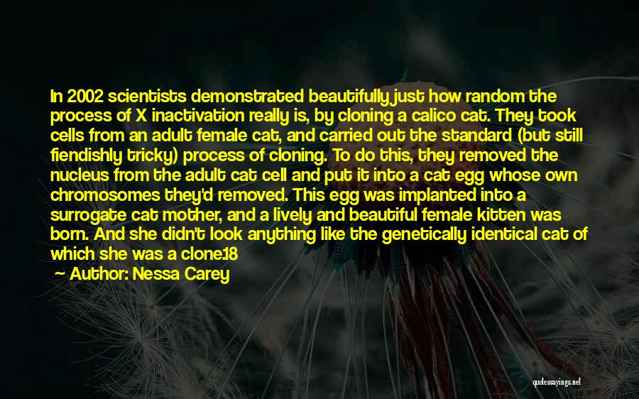 Nessa Carey Quotes: In 2002 Scientists Demonstrated Beautifully Just How Random The Process Of X Inactivation Really Is, By Cloning A Calico Cat.