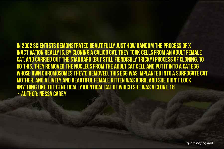 Nessa Carey Quotes: In 2002 Scientists Demonstrated Beautifully Just How Random The Process Of X Inactivation Really Is, By Cloning A Calico Cat.