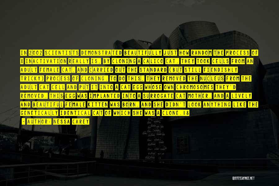 Nessa Carey Quotes: In 2002 Scientists Demonstrated Beautifully Just How Random The Process Of X Inactivation Really Is, By Cloning A Calico Cat.