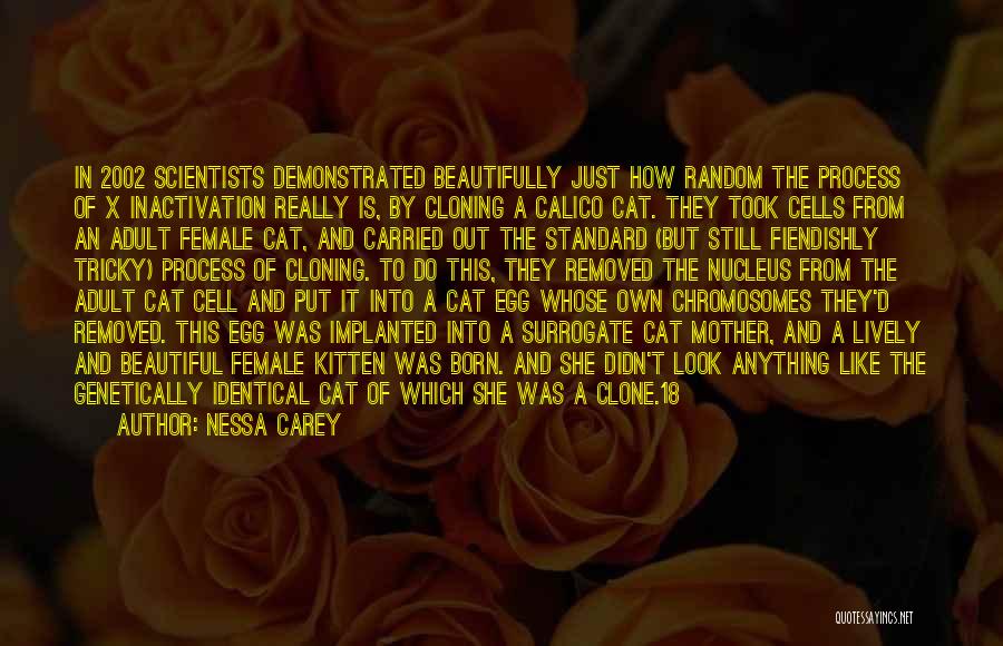 Nessa Carey Quotes: In 2002 Scientists Demonstrated Beautifully Just How Random The Process Of X Inactivation Really Is, By Cloning A Calico Cat.