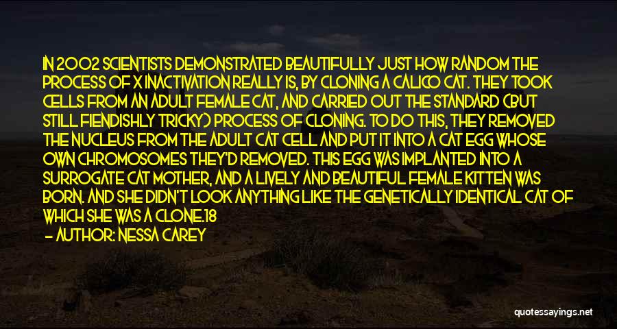 Nessa Carey Quotes: In 2002 Scientists Demonstrated Beautifully Just How Random The Process Of X Inactivation Really Is, By Cloning A Calico Cat.