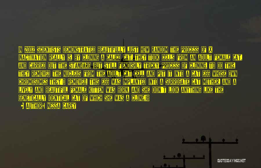 Nessa Carey Quotes: In 2002 Scientists Demonstrated Beautifully Just How Random The Process Of X Inactivation Really Is, By Cloning A Calico Cat.