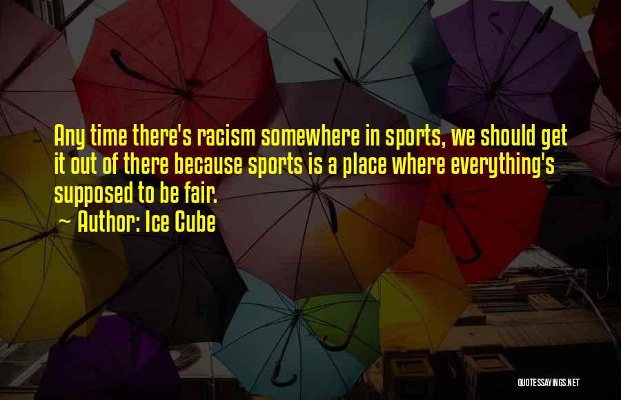 Ice Cube Quotes: Any Time There's Racism Somewhere In Sports, We Should Get It Out Of There Because Sports Is A Place Where