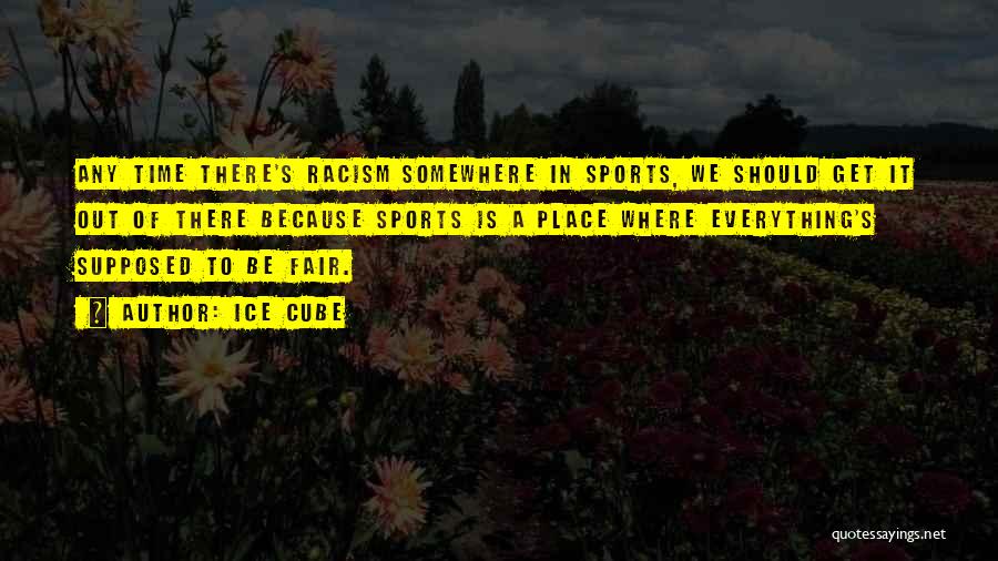 Ice Cube Quotes: Any Time There's Racism Somewhere In Sports, We Should Get It Out Of There Because Sports Is A Place Where