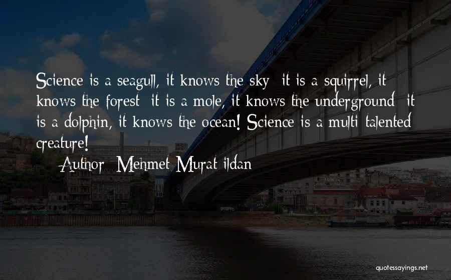 Mehmet Murat Ildan Quotes: Science Is A Seagull, It Knows The Sky; It Is A Squirrel, It Knows The Forest; It Is A Mole,