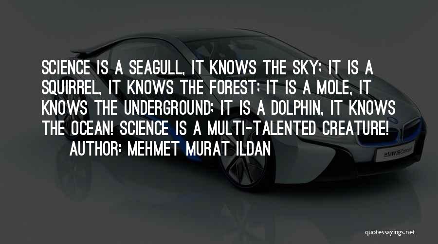 Mehmet Murat Ildan Quotes: Science Is A Seagull, It Knows The Sky; It Is A Squirrel, It Knows The Forest; It Is A Mole,