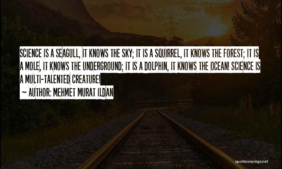 Mehmet Murat Ildan Quotes: Science Is A Seagull, It Knows The Sky; It Is A Squirrel, It Knows The Forest; It Is A Mole,