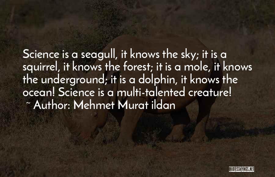 Mehmet Murat Ildan Quotes: Science Is A Seagull, It Knows The Sky; It Is A Squirrel, It Knows The Forest; It Is A Mole,