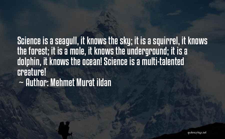 Mehmet Murat Ildan Quotes: Science Is A Seagull, It Knows The Sky; It Is A Squirrel, It Knows The Forest; It Is A Mole,