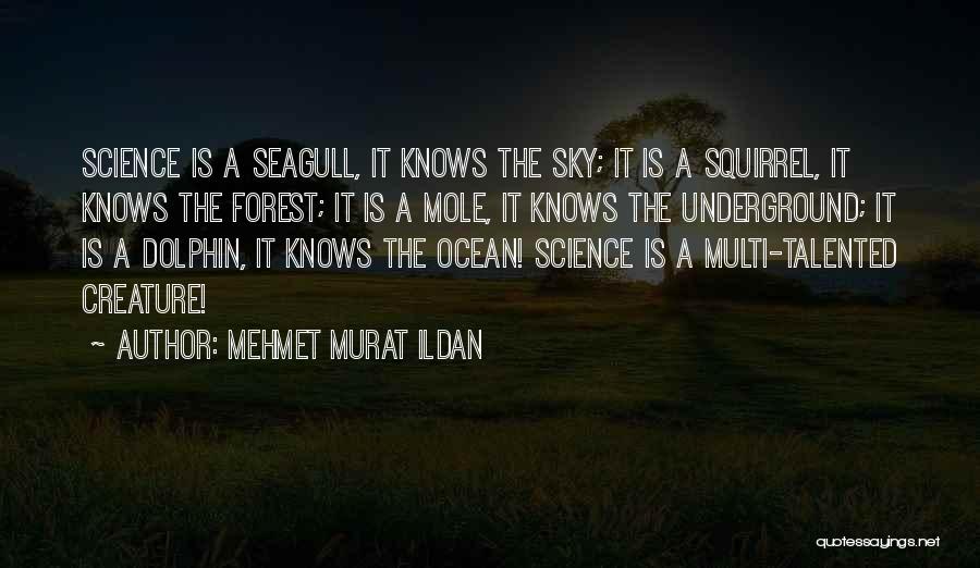 Mehmet Murat Ildan Quotes: Science Is A Seagull, It Knows The Sky; It Is A Squirrel, It Knows The Forest; It Is A Mole,