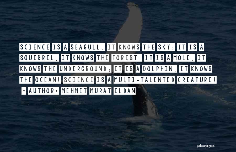 Mehmet Murat Ildan Quotes: Science Is A Seagull, It Knows The Sky; It Is A Squirrel, It Knows The Forest; It Is A Mole,