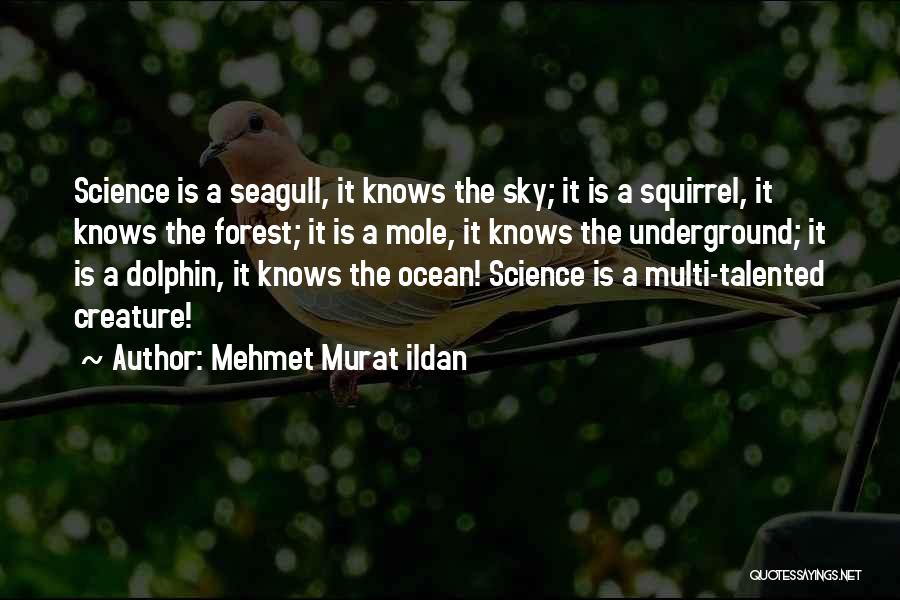 Mehmet Murat Ildan Quotes: Science Is A Seagull, It Knows The Sky; It Is A Squirrel, It Knows The Forest; It Is A Mole,