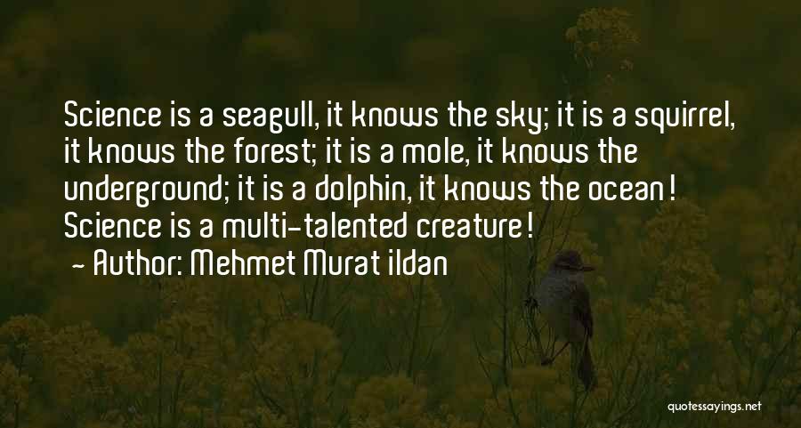 Mehmet Murat Ildan Quotes: Science Is A Seagull, It Knows The Sky; It Is A Squirrel, It Knows The Forest; It Is A Mole,