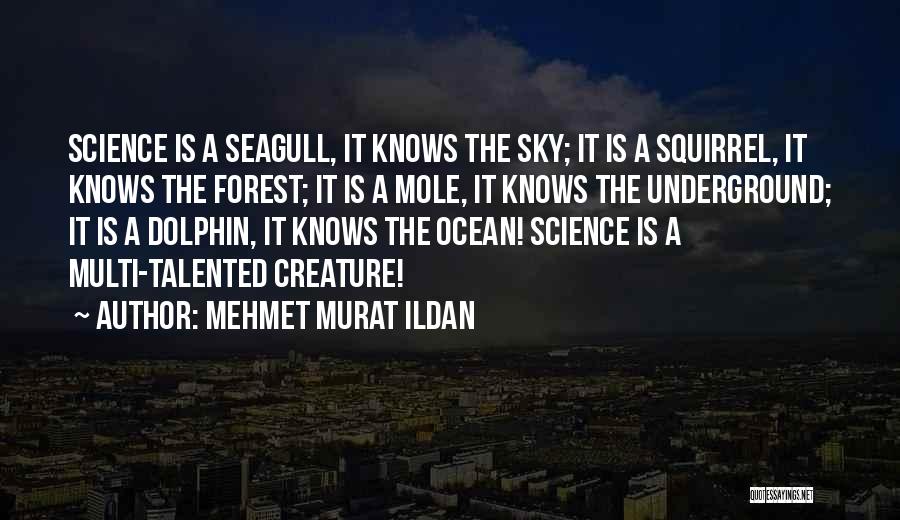 Mehmet Murat Ildan Quotes: Science Is A Seagull, It Knows The Sky; It Is A Squirrel, It Knows The Forest; It Is A Mole,