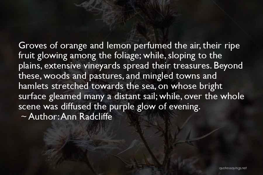 Ann Radcliffe Quotes: Groves Of Orange And Lemon Perfumed The Air, Their Ripe Fruit Glowing Among The Foliage; While, Sloping To The Plains,