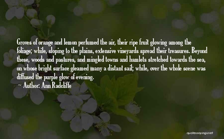 Ann Radcliffe Quotes: Groves Of Orange And Lemon Perfumed The Air, Their Ripe Fruit Glowing Among The Foliage; While, Sloping To The Plains,