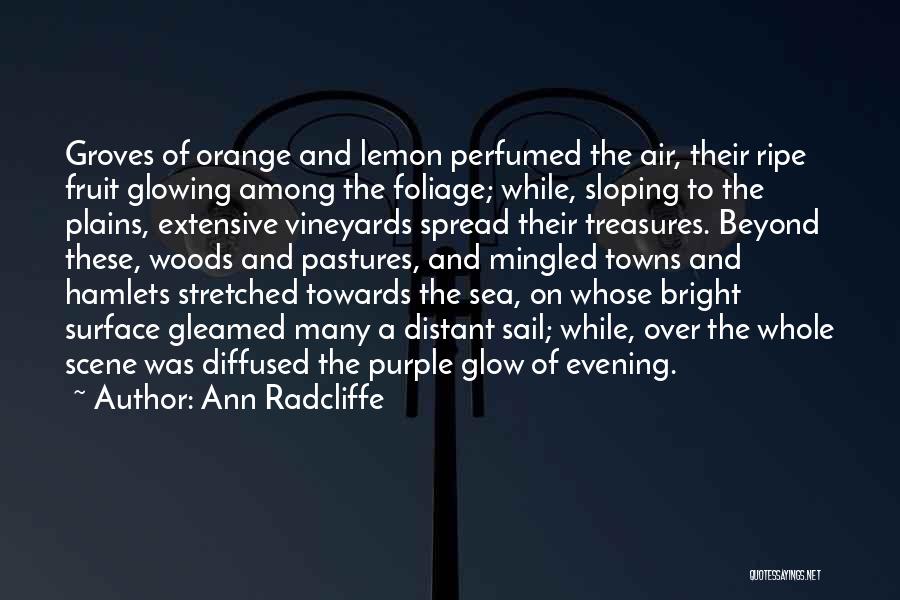 Ann Radcliffe Quotes: Groves Of Orange And Lemon Perfumed The Air, Their Ripe Fruit Glowing Among The Foliage; While, Sloping To The Plains,