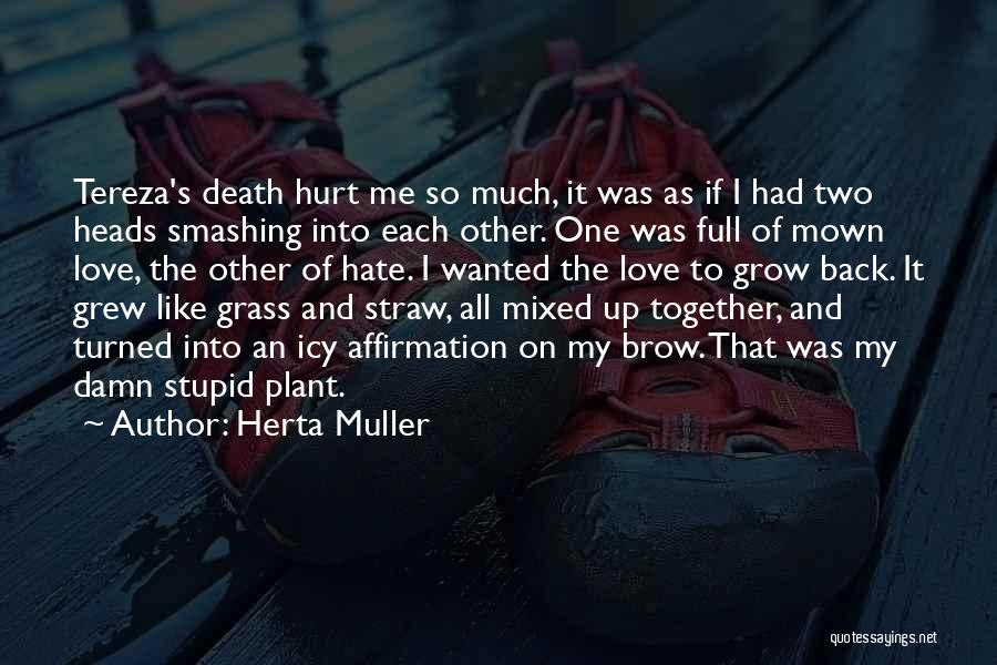 Herta Muller Quotes: Tereza's Death Hurt Me So Much, It Was As If I Had Two Heads Smashing Into Each Other. One Was