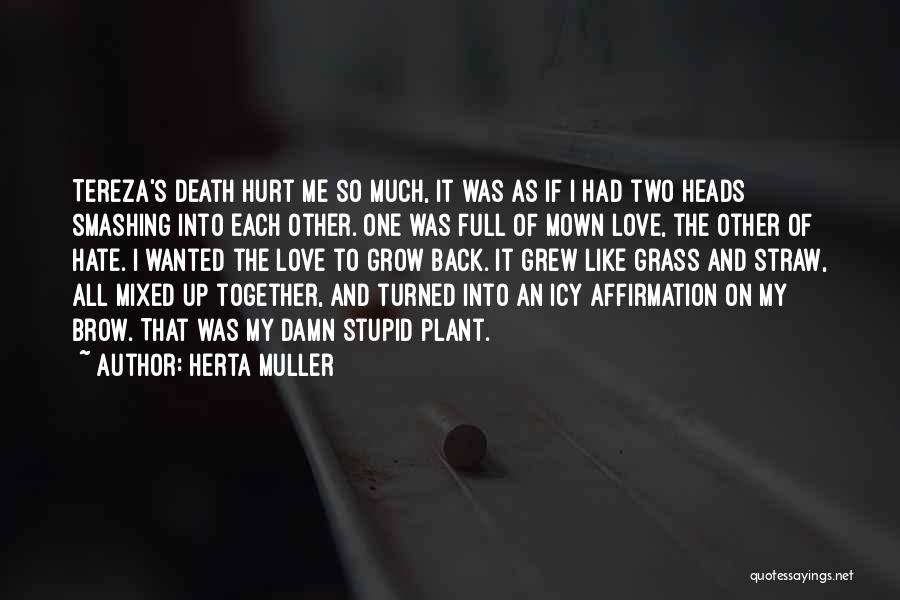 Herta Muller Quotes: Tereza's Death Hurt Me So Much, It Was As If I Had Two Heads Smashing Into Each Other. One Was