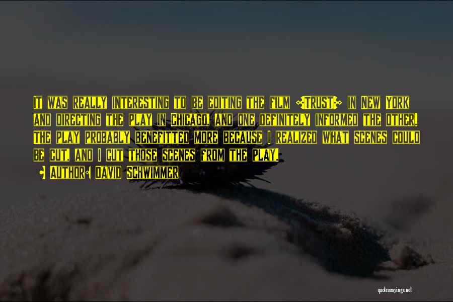 David Schwimmer Quotes: It Was Really Interesting To Be Editing The Film [trust] In New York And Directing The Play In Chicago, And