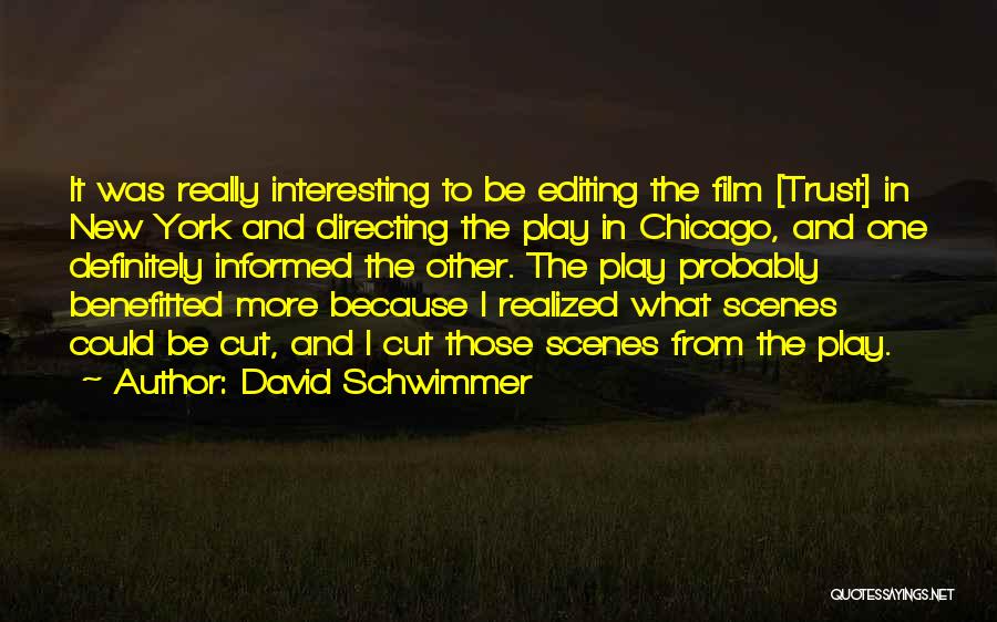 David Schwimmer Quotes: It Was Really Interesting To Be Editing The Film [trust] In New York And Directing The Play In Chicago, And