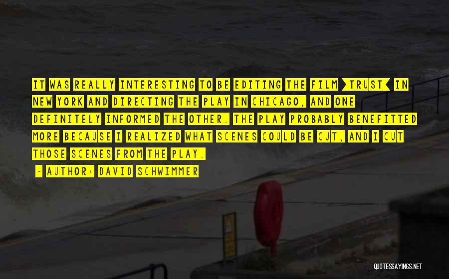 David Schwimmer Quotes: It Was Really Interesting To Be Editing The Film [trust] In New York And Directing The Play In Chicago, And