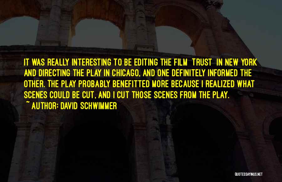 David Schwimmer Quotes: It Was Really Interesting To Be Editing The Film [trust] In New York And Directing The Play In Chicago, And